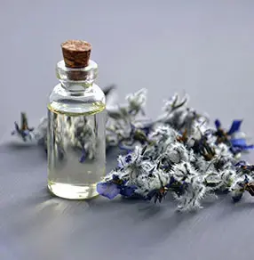 75d9e4ef_6a4c50a9_perfumes.webp